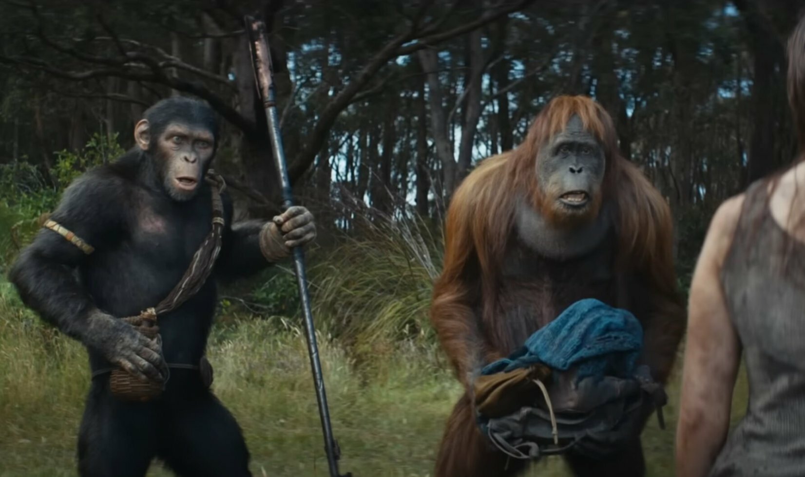 Her er den sidste trailer til Kingdom of the Planet of the Apes