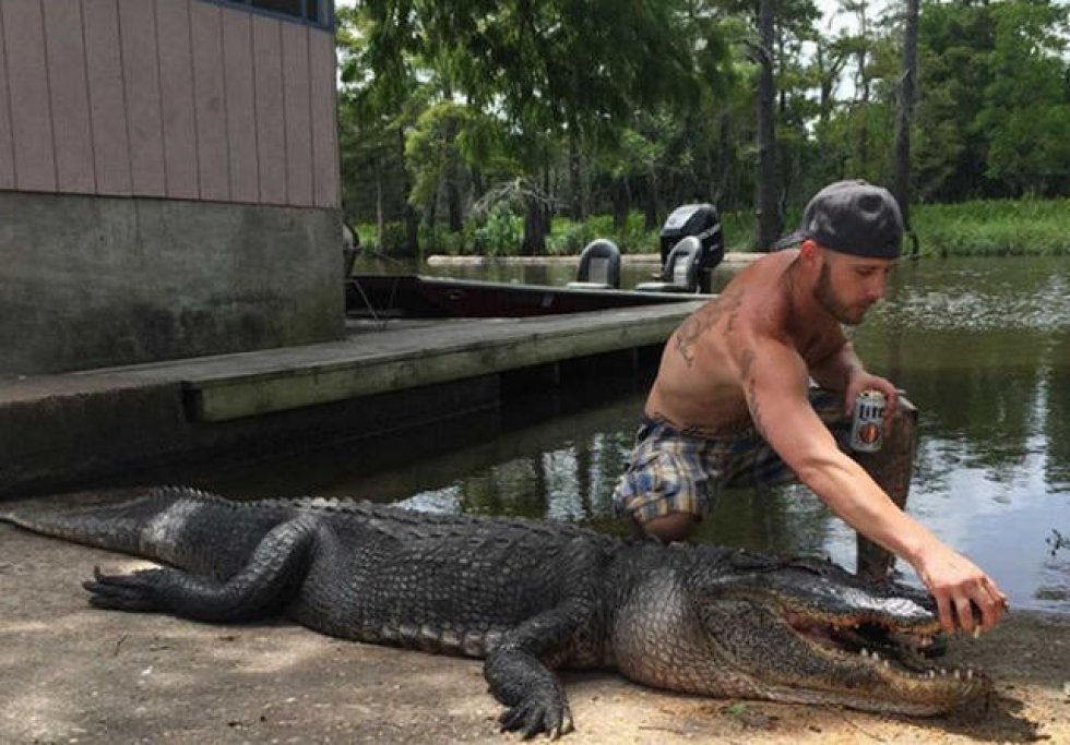 Hævntogt: Amerikaner tager livet af alligatoren, der åd hans ven!