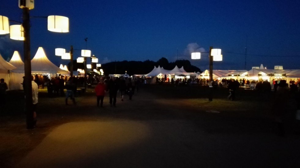 Tønder Festival 2015 #2