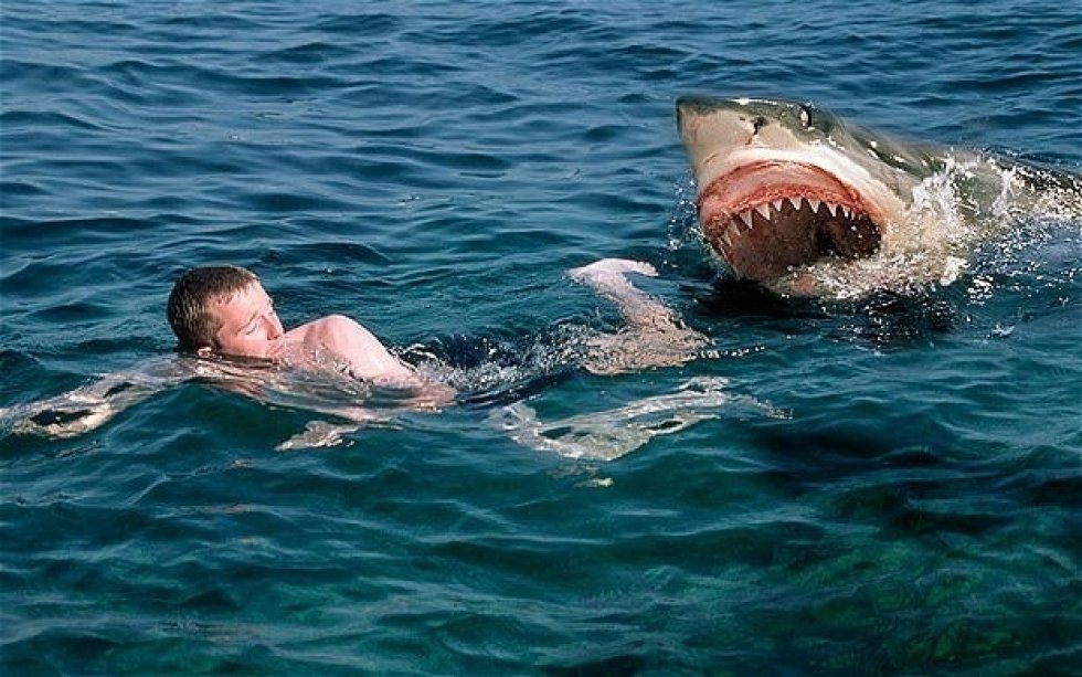 Shark-attack på Discovery!