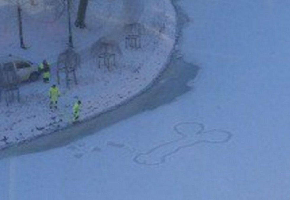 Snepenis er problematisk for svenske parkarbejdere