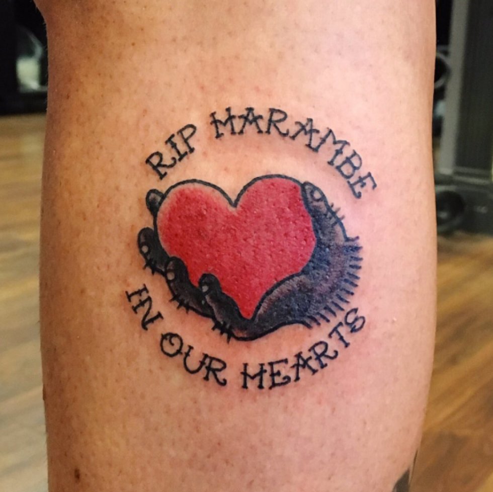 Pige får 'RIP Harambe' tatovering efter tabt væddemål 