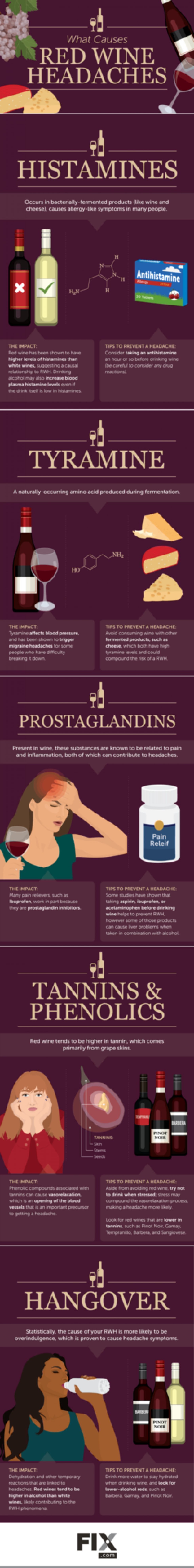Infographic viser dig, hvorfor du får hovedpine af rødvin, og (vigtigst) hvordan du undgår den 