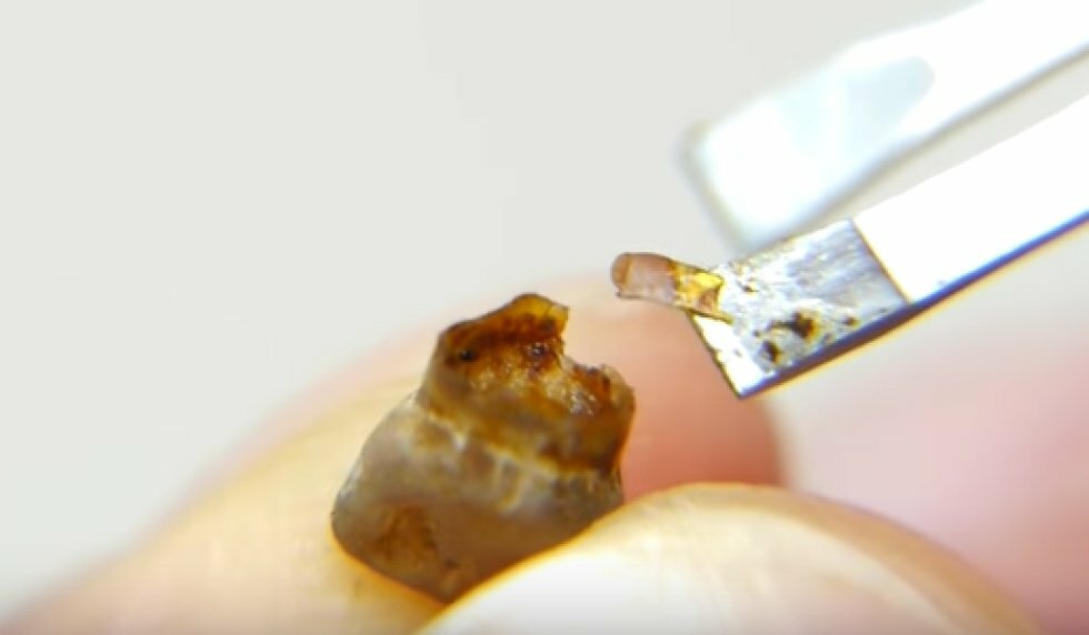 Se, hvad der sker, hvis du lader en tand ligge i cola i en uge [Video]