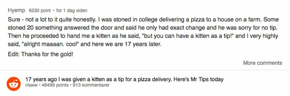 Pizzabud fik en kat i drikkepenge: 17 år senere har han den stadig 
