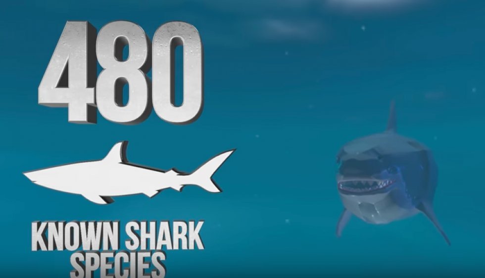 Epic how to viser dig, hvordan du bekæmper en haj 
