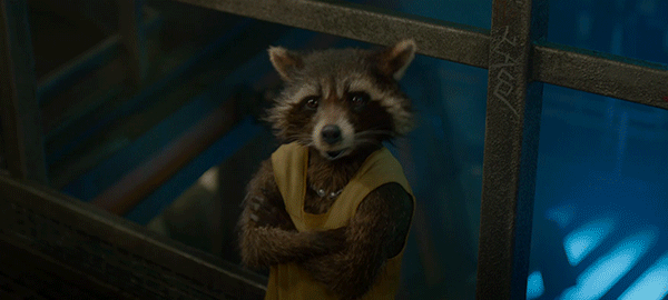 Rocket Raccoon fra Guardians of the Galaxy får solo-film