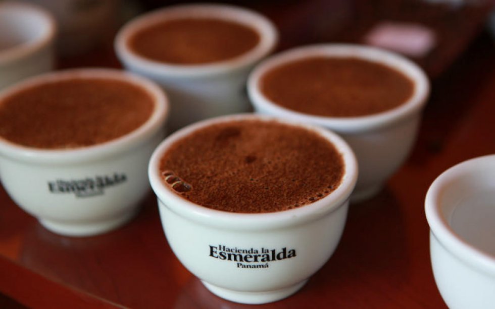 Kopi Luwak er blevet overhalet som verdens dyreste kaffe