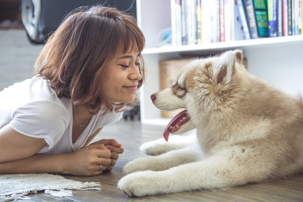 Hver anden kvindelige hundeejer vil hellere tilbringe tid med sin hund end sin kæreste, viser ny undersøgelse 