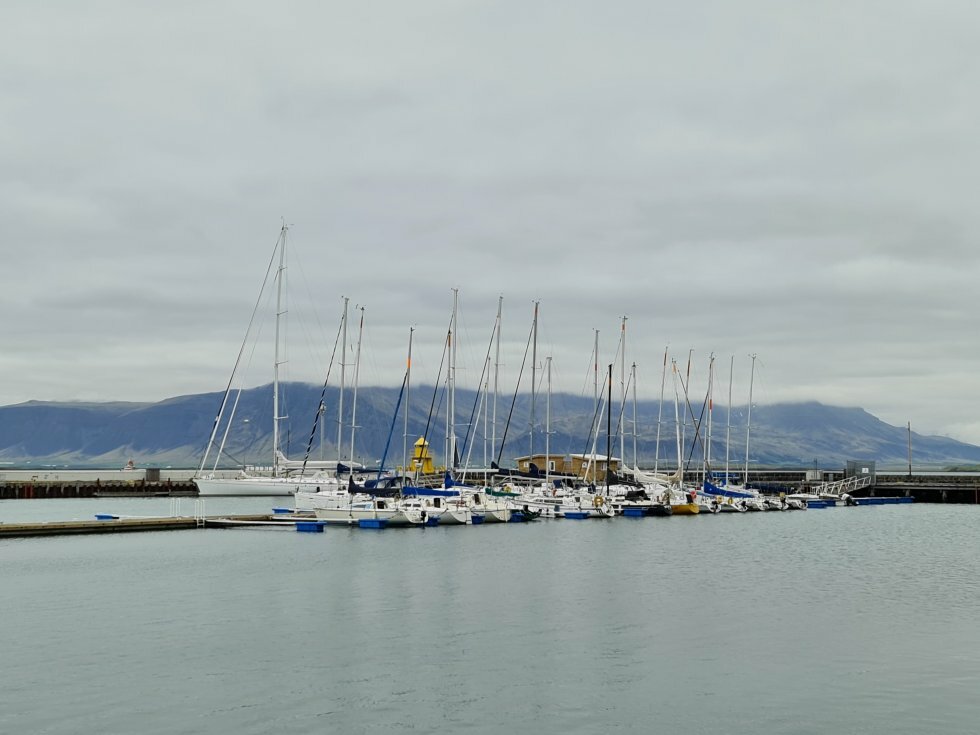 Udsigten fra havnen i Reykjavik. - Rejse-reportage: Stopover-bonusferie på Island