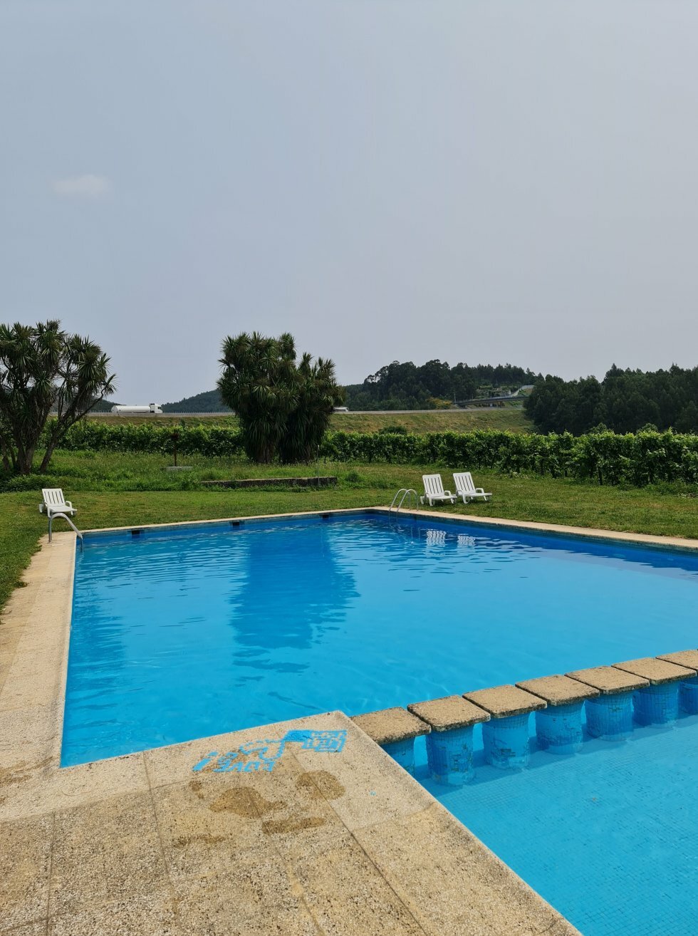 Poolen og lounge-området midt i Quinta de Lourosa. - Rejse-reportage: Vineventyr i Portugals Vinho Verde-region