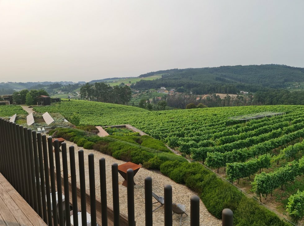 Aftensol over Monverde Wine Experience.  - Rejse-reportage: Vineventyr i Portugals Vinho Verde-region