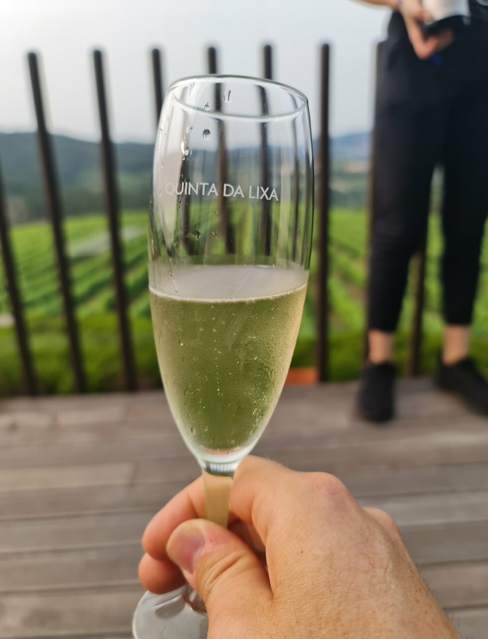 Portugisiske bobler på terrassen hos Quinta da Lixa.  - Rejse-reportage: Vineventyr i Portugals Vinho Verde-region