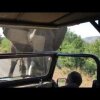 Elephant Encounter South Africa - Arnold Schwarzenegger møder en hidsig elefant