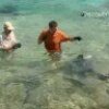 Shark Expert Attacked While Filming - Haj i baghaven