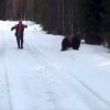 Swedish man scares the living shit out of an attacking bear - Mand skræmmer bjørn! Eller: Sådan fortæller du folk, at det er mandag, og at de skal holde sig væk!