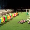 54 balloons in 3.3 seconds - Dagens repeat-video: Dygtig hund sprænger 50 balloner på 3 sekunder!