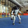 Do You Love Me? - Video: Boston Dynamics robotterne danser 2021 ind