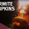 Exploding Thermite Pumpkins! Halloween Science - Dagens repeat-video: Halloween-sjov med eksploderende græskar