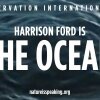 Nature Is Speaking ? Harrison Ford is The Ocean | Conservation International (CI) - Hollywood-stjernernes kamp for naturen