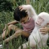 #10 Abe - 21 fantastiske albino-dyr 