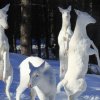 #13 Hjorte familie - 21 fantastiske albino-dyr 