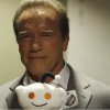 Arnold Schwarzenegger holdte forpremiere på sin zombiefilm, for Reddit-brugere i US.