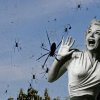 Millioner af edderkopper regnede ned fra himlen i Australien