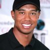 Tiger Woods blev skilt fra Elin Nordegren ..  - 10 røvdyre celebrity-skilsmisser