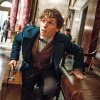 Første syn på Harry Potter-spinoff: Fantastic Beasts and Where To Find Them