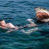 Shark-attack på Discovery!