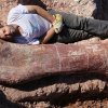 Verdens største dinosaur fundet i Argentina