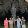 Kan man fange en 4,25 m. lang alligator med en fiskestang?