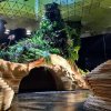 Verdens første underjordiske park 