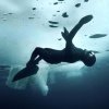 Vilde optagelser af dykker, som svømmer under isflager