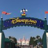 Fotos: Elliot Lindemann - Mandens ultimative guide til Disneyland