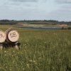 Thy Whisky - Thy Whisky: Dansk single malt på økologiske, lokale råvarer