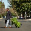 Foto: Netflix/Adam Rose - Zach Galifianakis' Between Two Ferns er nu blevet til en stjernespækket komediefilm