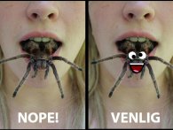 Er vi bange for edderkopper fordi vi ikke kan se deres ansigt?