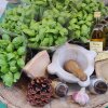 Pesto-magi! - Rejsereportage: Ligurien - hjertet af Italiens olivenolie-region