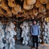 En tur i de hellige Culatello-gemakker! - Rejse-reportage: På oste- og skinkeeventyr i Parma Italien