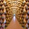 Foto: Mind the Pop, Parma - Rejse-reportage: På oste- og skinkeeventyr i Parma Italien