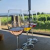 Funky smagninger hos Quinta da Raza.  - Rejse-reportage: Vineventyr i Portugals Vinho Verde-region
