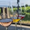 Vin fra Vinho Verde - Rejse-reportage: Vineventyr i Portugals Vinho Verde-region