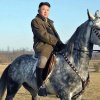 Kim Jong-Un - Go horse that Katy Perry - Verdens ledere er ikke bange for at spille brede på kamera