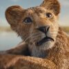 Foto: Disney "Mufasa: The Lion King" - Første trailer til Mufasa fortæller forhistorien til Løvernes Konge