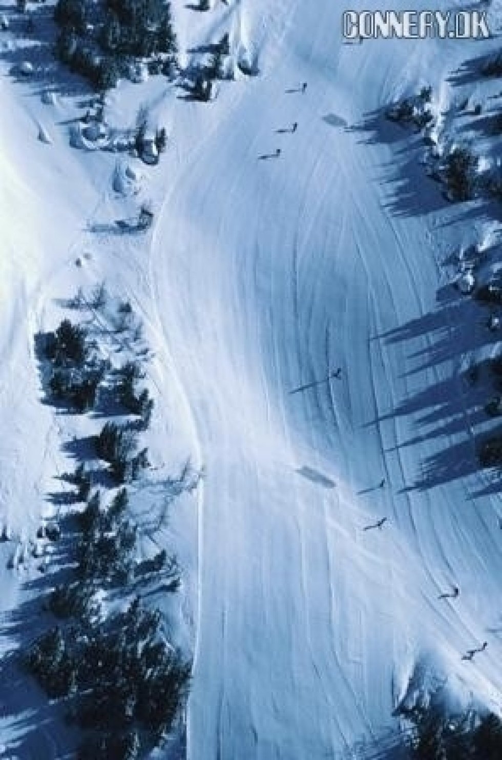 Færdselsregler på ski