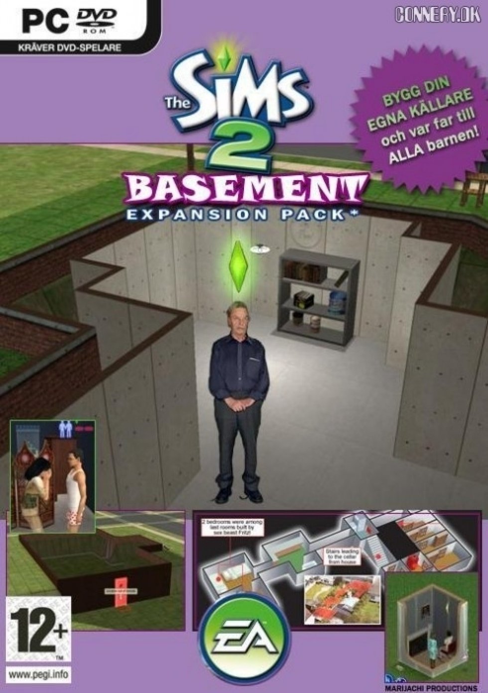 The Sims basement pack
