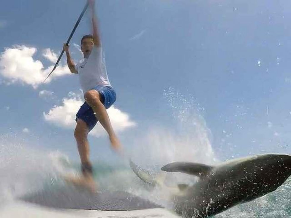 Surfer har sammenstød med haj