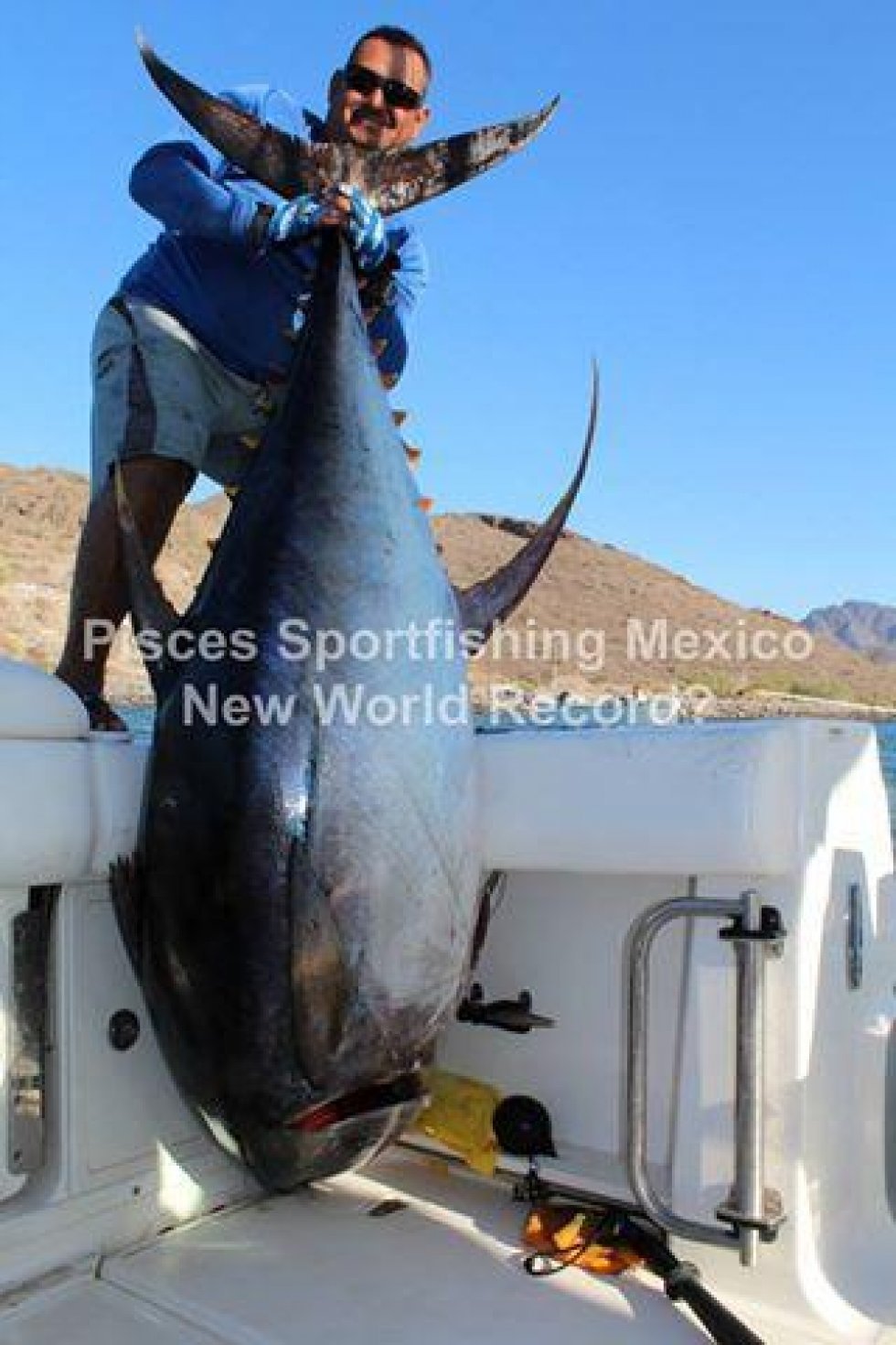 Fisker fanger verdens største tunfisk.. og så alligevel ikke?